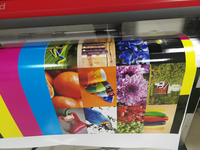 Rouleau de vinyle auto-adhésif en PVC blanc éco-solvant pour impression