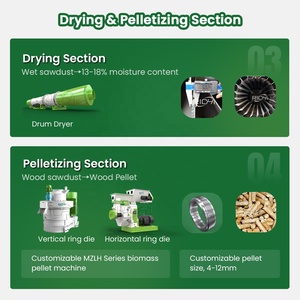 CE-zertifizierte 1-10 Tonnen pro Stunde Biomasse-Holzkessel-Pellet-Produktions linie aus nassem Sägemehl - Product Image 4