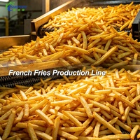 Shepody 500kg/uur kleine schaal productielijn voor diepvriesfrieten/machines voor de verwerking van aardappelchips/machine voor het maken van frieten