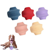 Ensemble de balles à mâcher écologiques pour chiens, en caoutchouc naturel, interactives, pour le nettoyage des dents et l'exercice, avec sac résistant aux déchirures