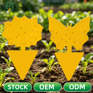 Eco Friendly Sticky Trap for Plants Fungus Gnat <strong>Fruit</strong> <strong>Fly</strong> Control Non Chemical Pest Control <strong>Solution</strong> - Product Image 1