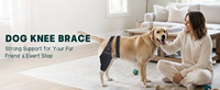 Attelle de genou pour chien Hiphoppet de haute qualité, soutien pour pattes arrière, réduit la douleur, réglable, imperméable et respirante