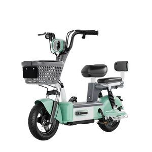 Vélo Électrique pour Adultes en Promotion, Moteur 48V 350W, Capacité de Charge de 200Kg - Product Image 1