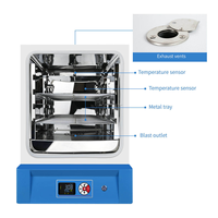LABTEX 65 ℃   Incubateur professionnel de laboratoire, chambre d'essai de stabilité des produits, four 20L 45L 125L 210L pour cosmétiques, microbiologie, biochimie