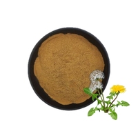 Extrait de pissenlit de haute qualité, 5% de flavonoïdes, poudre d'extrait de racine de pissenlit 10:1, poudre d'extrait de pissenlit