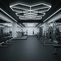 Éclairage d'exposition de qualité supérieure pour salons professionnels, 6500K, 120lm/W, PC, dimmable, OEM/ODM, assemblage DIY, haute luminosité pour exposition automobile