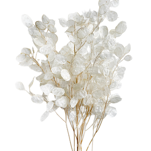 Flores Secas Lunaria Annua Naturales y Ecológicas, Hechas a Mano, de Larga Duración, Tendencia 2026, para Decoración del Hogar y Bebés - Product Image 1