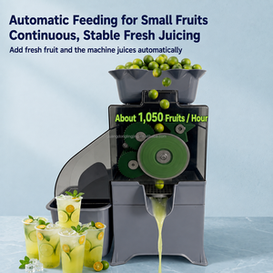 Estrattore di Succo Elettrico Commerciale per <span class=keywords><strong>Calamansi</strong></span> e Limone, Macchina per Spremitura a Freddo per Ristoranti e Juice Bar - Product Image 4