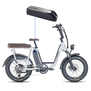 RAD điện điện hàng hóa xe đạp tiện ích Lithium 48V 10.4ah 12.8ah 14Ah 15ah Pin cho radrunner cộng với <span class=keywords><strong>radwagon</strong></span> 4 radmini radrove - Product Image 6