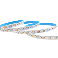 Bandes LED extérieures adressables individuellement Rgbic 24V double signal Ws2815 96 LED pixels Ws2815 12V