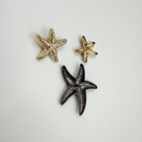 Boutons en métal étoile de mer petits pour blazer, pull tricoté, manteau – Accessoires décoratifs en forme d'étoile à cinq branches