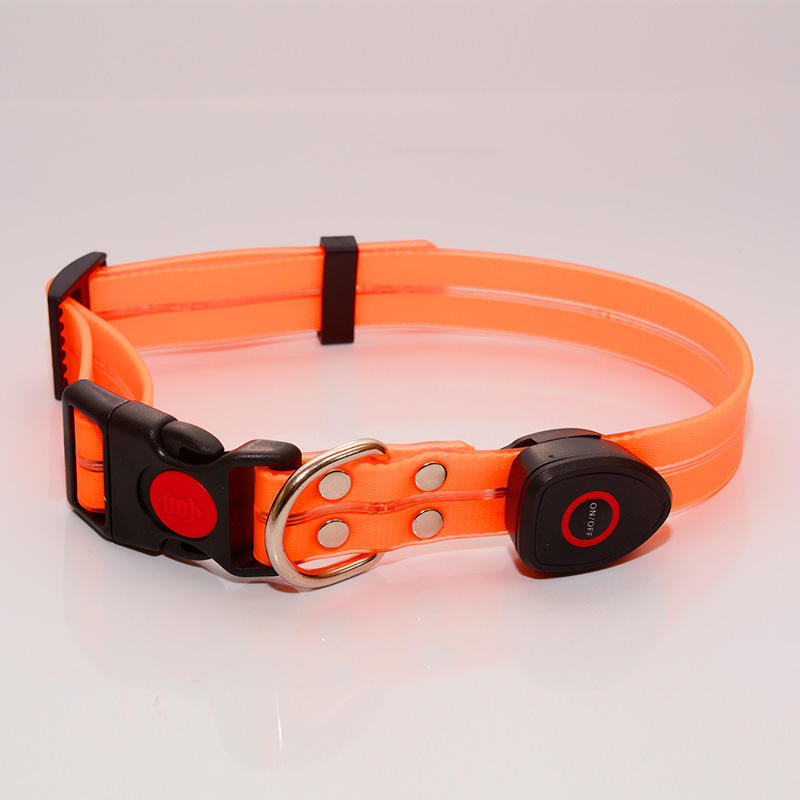 ปลอกคอสีส้ม