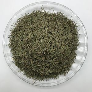 Trà cỏ đuôi ngựa thảo dược chất lượng cao Wen Jing Cao 3099, đóng gói số lượng lớn - Product Image 3