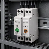Disjoncteur intelligent WiFi 60A 1P MCB en cuivre PA66, capacité de coupure 6kA, montage sur rail, télécommande sans fil 220V
