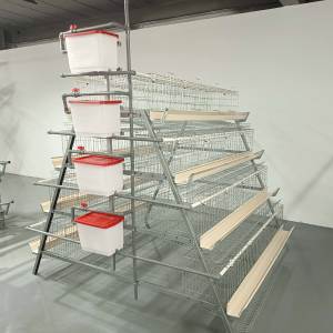 Système de <span class=keywords><strong>cage</strong></span> à poules pondeuses de type batterie pour 1000 oiseaux, équipement d'élevage de poulets galvanisé, vente chaude - Product Image 1