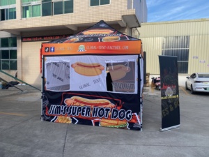 Toàn cầu Lều 10 'x 10' (3m x 3M) tùy chỉnh tán ngoài trời pop-up thực phẩm lều không thấm nước nhôm triển lãm lều - Product Image 2