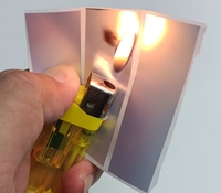 50 #   Étiquettes thermiques autocollantes en rouleau pour imprimante Niimbot, en PET argenté mat, imperméables, résistantes à l'huile et aux rayures