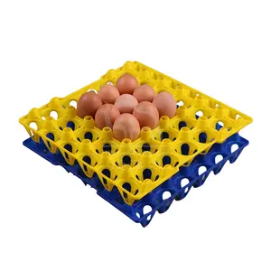 30 Commercial Egg Trays Broiler Equipment Poultry Farming