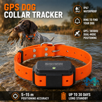 Rastreador GPS Inteligente para Mascotas 4G LTE IP67 Resistente al Agua Batería de 4000 mAh 30 Días de Autonomía Llamada de Voz Bidireccional Posicionamiento GPS/BDS/LBS Android/iOS