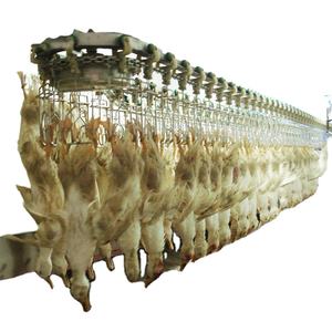 Ligne d'<span class=keywords><strong>abattage</strong></span> de volaille Jarvis, équipement d'<span class=keywords><strong>abattage</strong></span> - Product Image 1