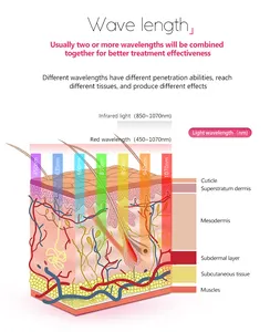 Cama vermelha para terapia de luz vermelha, corpo inteiro de comprimento de onda diferente, 630nm 660nm 830nm 850nm, infravermelho próximo, LED infravermelho