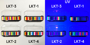 ชุดสีเพ้นท์หน้าเรืองแสง 6 สี คุณภาพสูง ปลอดภัยต่อผิว ทำจากพืชธรรมชาติ สำหรับเพ้นท์ตัวและใบหน้า จัดส่งโดยตรง - Product Image 5