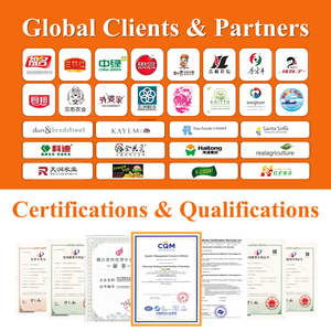 Congélateur à plaques hydrauliques industrielles certifié CE et HACCP pour la congélation rapide <span class=keywords><strong>des</strong></span> poissons, <span class=keywords><strong>des</strong></span> fruits de mer, de la viande et <span class=keywords><strong>des</strong></span> <span class=keywords><strong>crevettes</strong></span> - Product Image 4