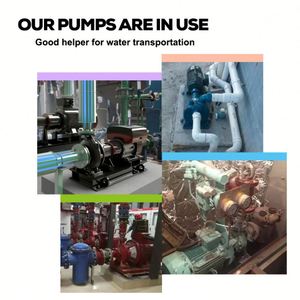 Bomba Centrífuga Química de Una Etapa de Acero Inoxidable API610, 5kw, Horizontal, con Empaquetadura de Aleación y Goma para Líquidos Corrosivos - Product Image 3