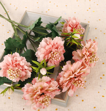 สีชมพูอ่อน