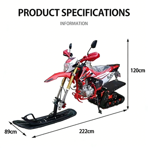 Véhicule tout-terrain sur chenilles <span class=keywords><strong>4</strong></span> temps 300cc, robuste, pour le tourisme et les sentiers, idéal pour le sable et la neige extrêmes hors route - Vente en gros usine - Product Image 3