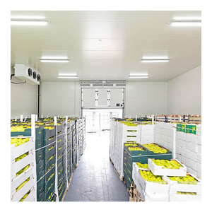 <span class=keywords><strong>Mejor</strong></span> <span class=keywords><strong>Precio</strong></span> en Instalación de Almacenamiento en Frío -25°C ° De la C a la 15 ° Gama C Diseñada para la Industria de Alimentos Congelados y Helados - Product Image 5