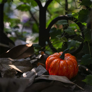 12 Chiếc Bí Ngô Nhân Tạo Với 30 Chiếc Lá Phong Sống Động Như Thật Rau Để Trang Trí Lễ Tạ Ơn Halloween Vòng Hoa Mùa Thu - Product Image 4