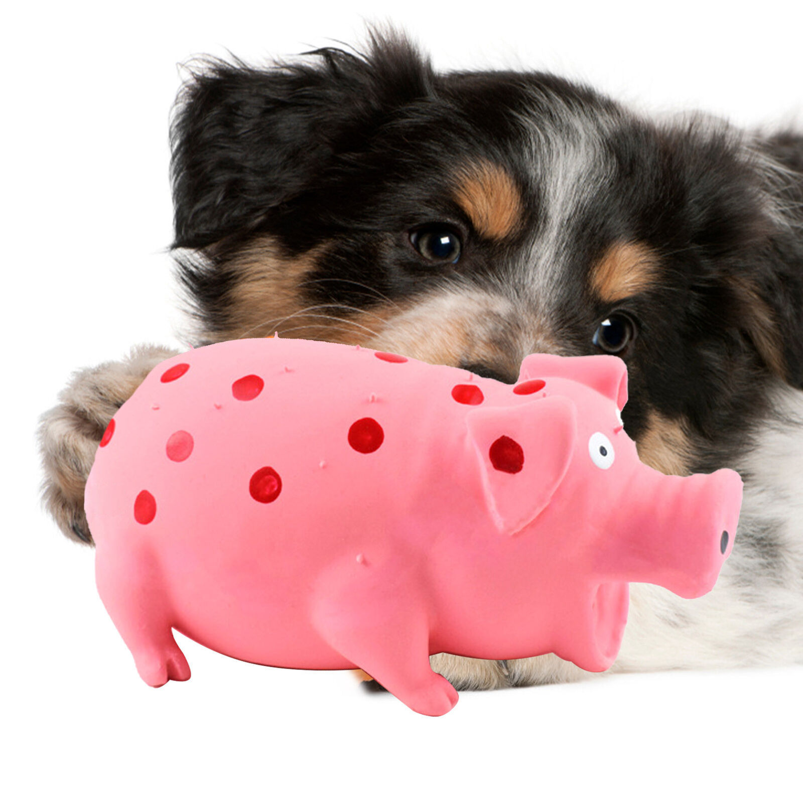 Latex Pig Dog Toys Squeaky, Chewing Fun for Pups