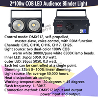 Projecteur de scène LED COB 2*100W Bothlighting pour mariages, DJ, événements, clubs et soirées