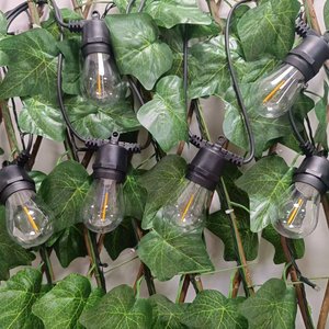 Guirlande lumineuse étanche S14 pour mariages, cafés, patios, fêtes et festivals, 10 pieds, vente en gros - Product Image 4