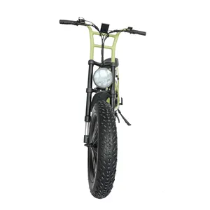 All Terrain 750w Beach Ebike super 20 inch snow ebike vintage retro 73 enduro ebike