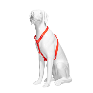 Mannequin de chien en fibre de verre G4-W avec tête pour l'affichage en animalerie et la décoration intérieure - Product Image 1