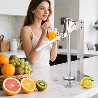 Handmatige huishoudelijke fruit- en groentegereedschappen, voedselveilige sinaasappel- en citroenenpers