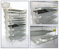 Prix de gros Cage de batterie de ferme de caille d'usine chinoise Nouvelles cages pour animaux en acier pour oiseaux et lapins pondeuse poulet utilisation agricole