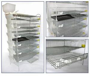 Prix <span class=keywords><strong>de</strong></span> gros Cage <span class=keywords><strong>de</strong></span> batterie <span class=keywords><strong>de</strong></span> ferme <span class=keywords><strong>de</strong></span> <span class=keywords><strong>caille</strong></span> d'usine chinoise Nouvelles cages pour animaux en acier pour oiseaux et lapins pondeuse poulet utilisation agricole - Product Image 3