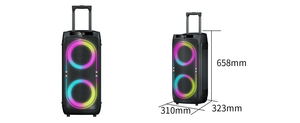 Caja de Subwoofer de 8 Pulgadas Amplificada con Luces LED de Colores Intermitentes, Altavoz de Plástico Profesional Tipo <span class=keywords><strong>Boombox</strong></span> 3 - Product Image 4