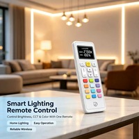 Control Remoto Inalámbrico para Lámparas de 21 Teclas, Controlador de Iluminación OEM ODM, Diseño y Desarrollo Personalizados