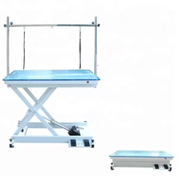 Table de toilettage pour chien réglable en hauteur, en acier inoxydable organique, avec éclairage LED, écologique