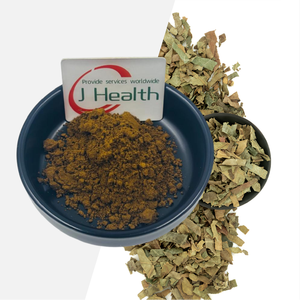 高品質のアマチャヅル（五葉樹）ハーブエキス 80% 98% アマチャヅルサポニン粉末 - Product Image 1