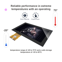 Pannello LCD TFT da 15-15,6 Pollici, Modulo Touch Screen LVDS Industriale, Vetro Temperato IK10, Touch Pcap USB Multi-touch per Macchine