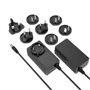 Top Quality 12V 5A LED AC DC adapter 24V 2.5A display power adapter 15V 4A charger 29V 2A with interchangeable power plugs