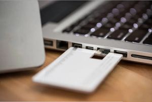 U盘批量促销礼品1 2 4 8 Gb pvc袋定制西方定制盒状态动物标志芯片模具销售Pcs GUA - Product Image 3