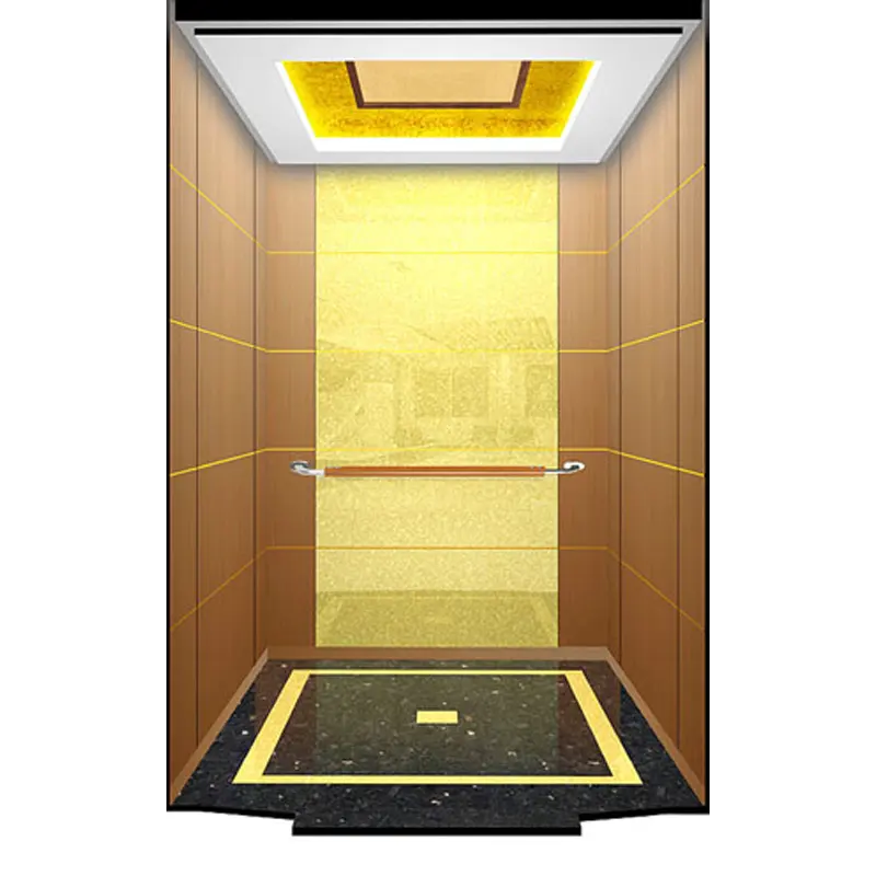 Mini ascenseur de Villa hydraulique doré