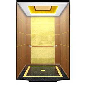 <span class=keywords><strong>Mini</strong></span> <span class=keywords><strong>Ascensor</strong></span> Hidráulico Dorado para Pasajeros, Precio de <span class=keywords><strong>Ascensor</strong></span> para Viviendas en China, Precio de <span class=keywords><strong>Ascensor</strong></span> para Pasajeros en China - Product Image 1