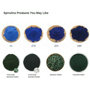 Großhandelspreis USDA-Zertifiziertes Zellulose-Breaked Bulk Bio-Natürliches Extrakt Chlorella Vulgaris Pulver - Product Image 2